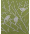 Triko Aves  Grasshopper